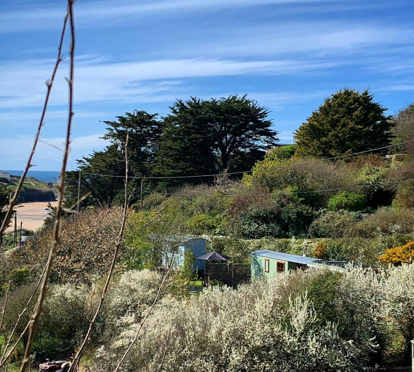 Tides Reach, Deluxe Shepherds Hut 1, 100M From The Beach St Merryn Buitenkant foto